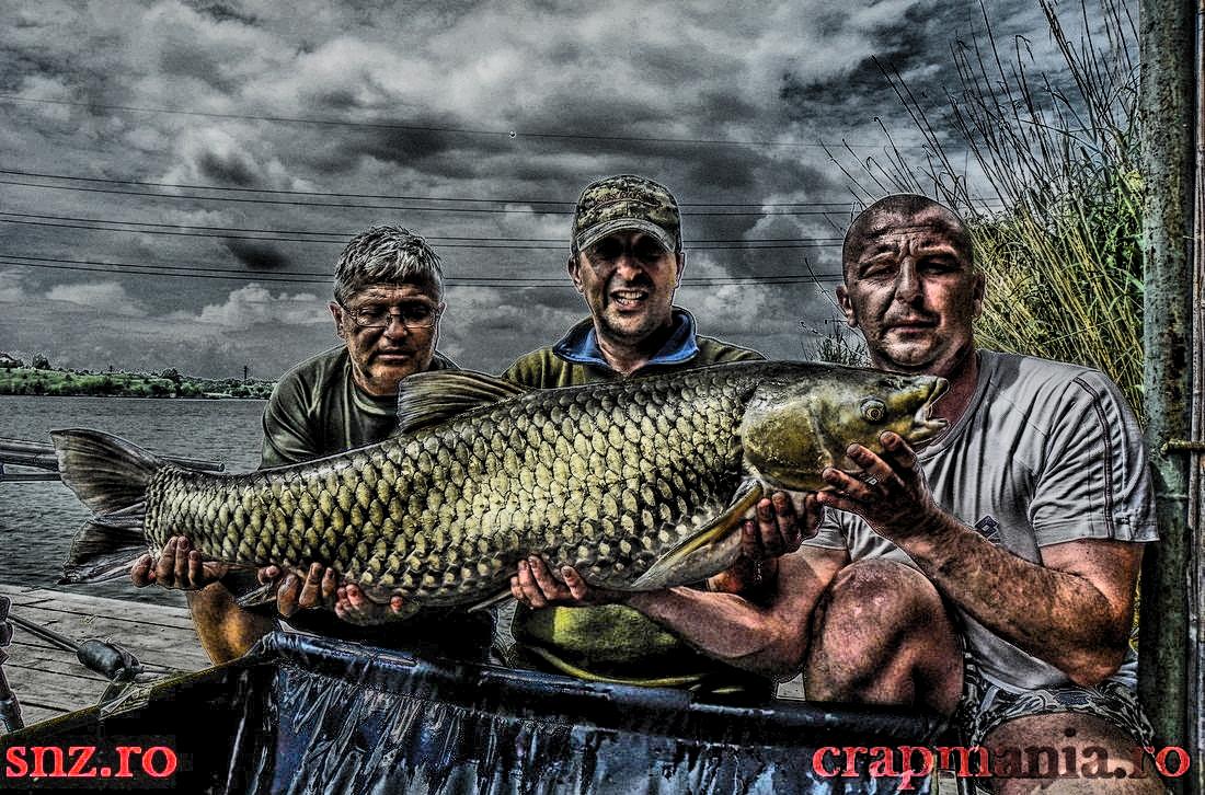 Crapmania - 2013 - 1010036hdrmode2.JPG